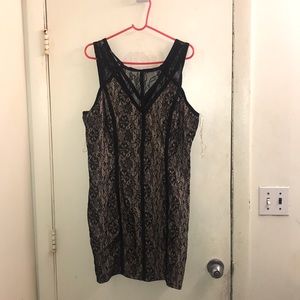 Lace Nude & Black Bodycon Dress Charolette Rouse